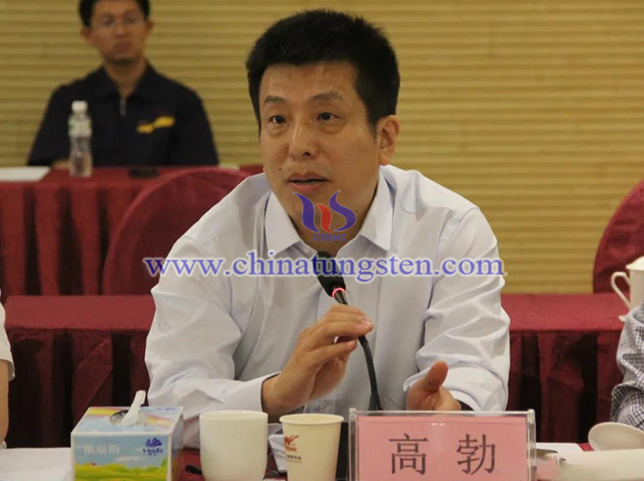中國鎢業(yè)協(xié)會主席團主席、中鎢高新材料股份有限公司副總經(jīng)理高勃