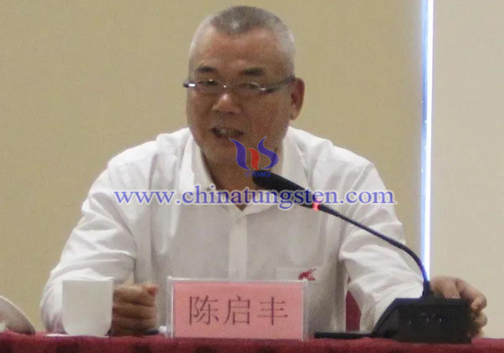 中國鎢業(yè)協(xié)會主席團執(zhí)行主席、廣東翔鷺鎢業(yè)股份有限公司董事長陳啟豐