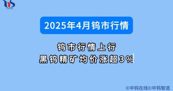 4月鎢市行情上行 黑鎢精礦均價(jià)漲超3% 2025年4月鎢價(jià)行情如何圖片