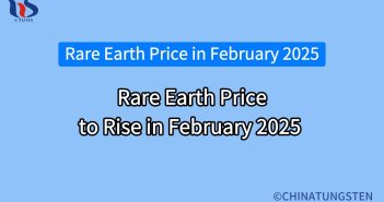Rare Earth Price to Rise in February 2025 rare earth price to rise in february 2025