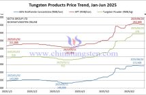 Tungsten Price Trend from January to June 20, 2025