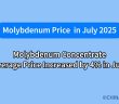 Molybdenum Concentrate Average Price Increased by 4% in July