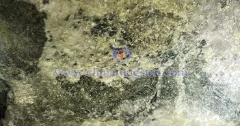 鎢精礦圖片